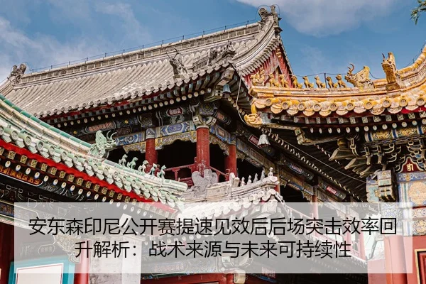 an-dong-sen-yin-ni-gong-kai-sai-ti-su-jian-xiao-hou-hou-chang-tu-ji-xiao-lv-hui-sheng-jie-xi-zhan-shu-lai-yuan-yu-wei-2-558.jpg